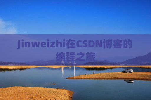Jinweizhi在CSDN博客的编程之旅